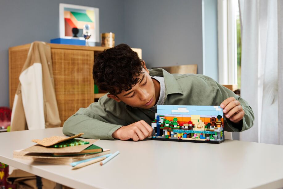 LEGO Minecraft Mini Biomes (21589) (9)