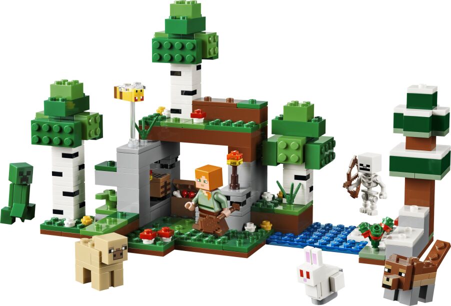 LEGO® Minecraft First Night Adventure (21593) (1)