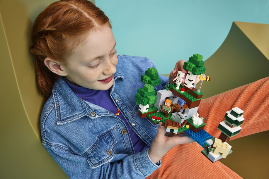 LEGO® Minecraft First Night Adventure (21593) (8)