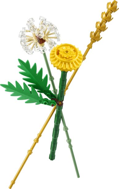 LEGO® Botanicals Field Flowers Mini Builds (30701) (1)