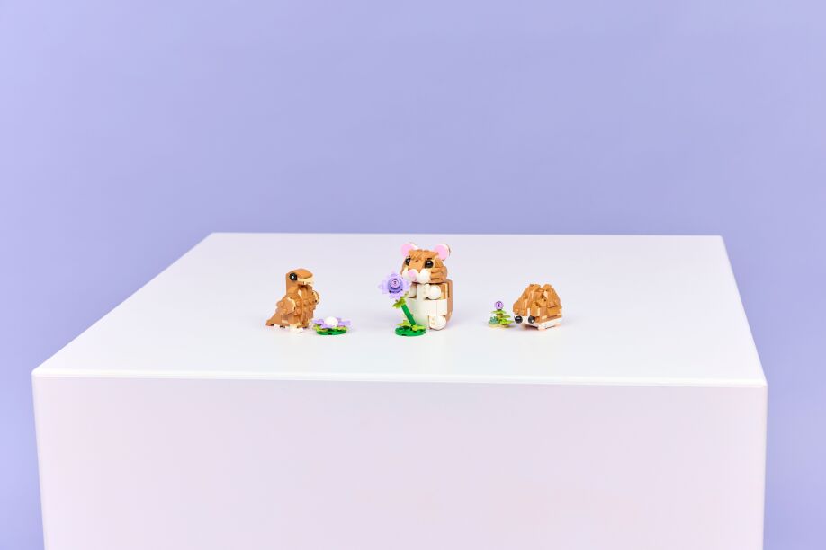 LEGO Creator 3in1 Cute Hamster With A Flower (31376) (9)