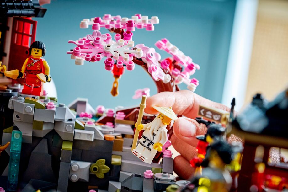 LEGO Ninjago The Old Town 15th Anniversary (71861) (6)