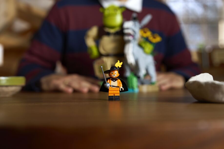 LEGO® Shrek, Donkey & Puss In Boots (72423) (9)