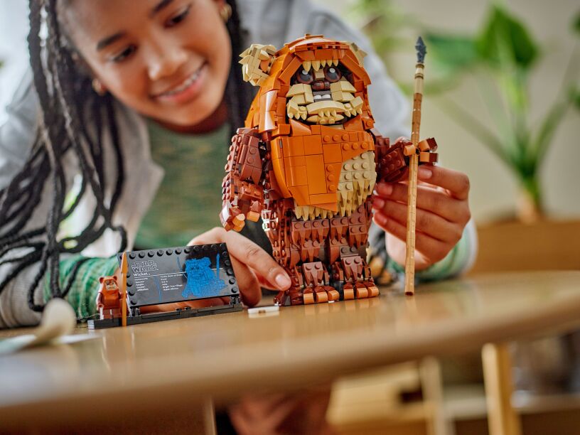 LEGO Star Wars Wicket The Ewok (75430) (7)