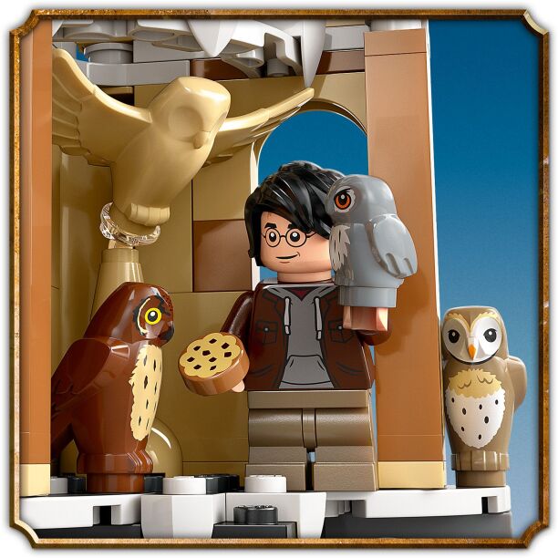 LEGO Harry Potter Hogwarts Castle Owlery (76430) (4)