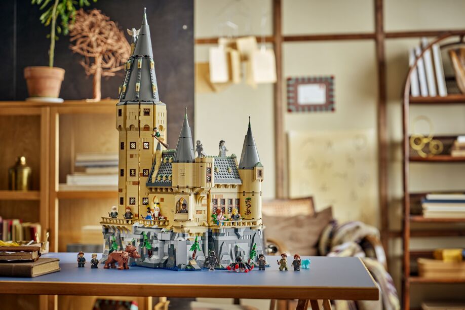 LEGO Harry Potter Hogwarts Castle: Hospital Wing (76463) (9)