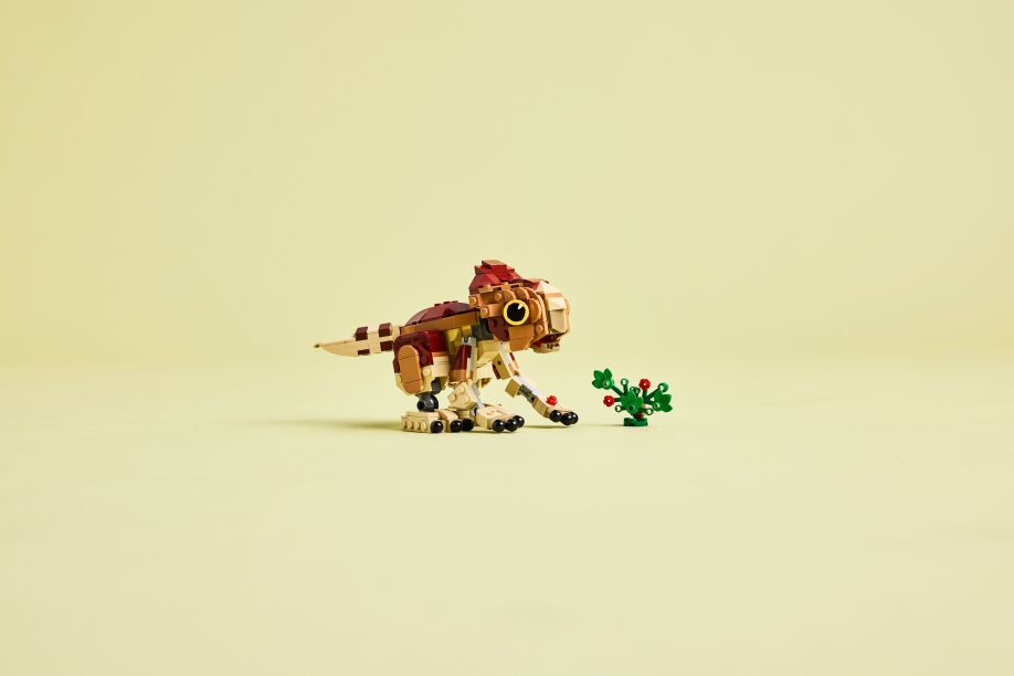 LEGO Jurassic World Baby Dinosaur Dolores: Aquilops (76970) (7)
