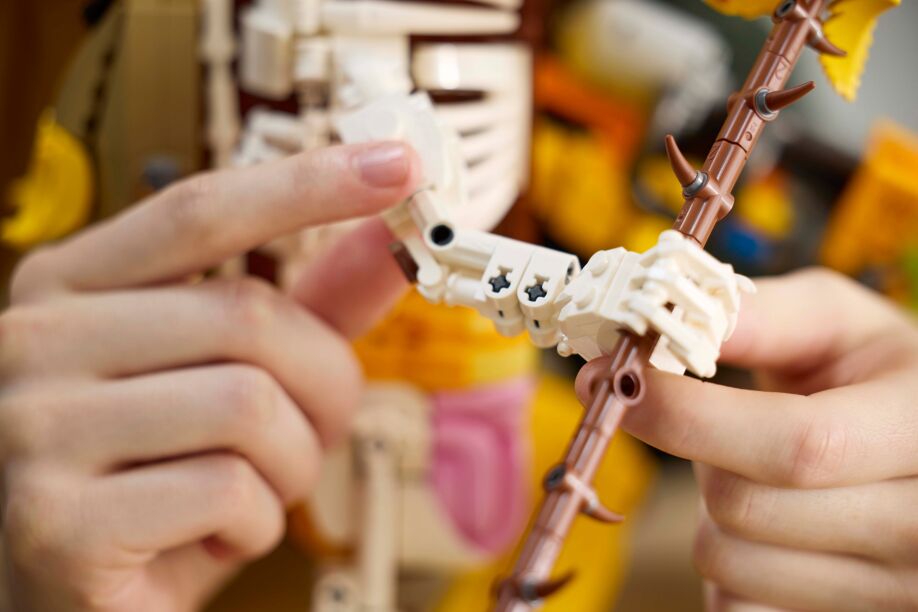 LEGO Fornite Peely Bone (77072) (9)