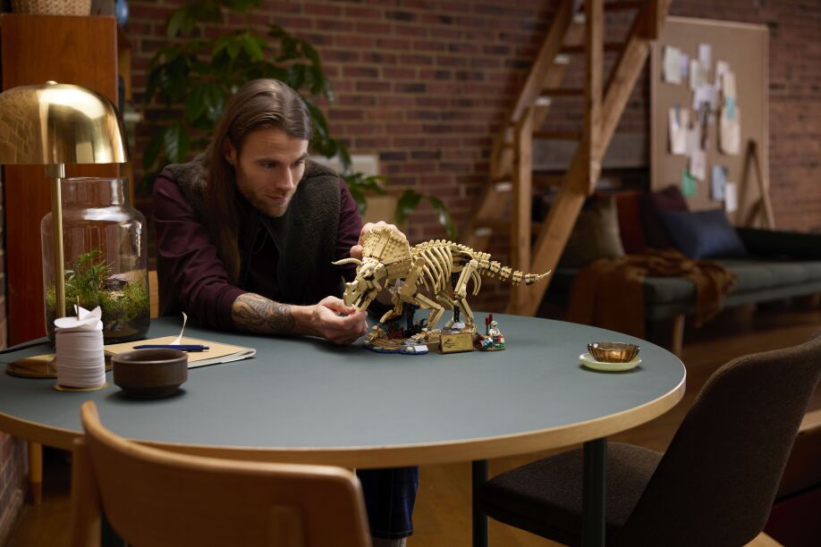 LEGO® Jurassic World Dinosaur Fossils: Triceratops (77985) (10)